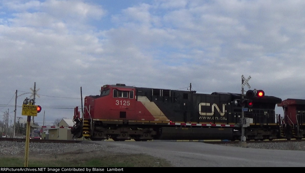 CN A431